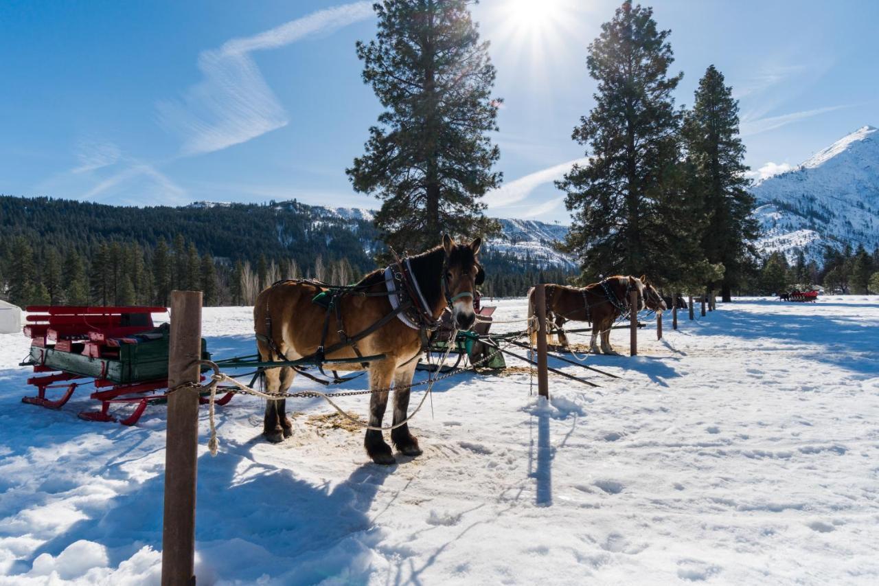 Aspen Suites 505: Enchantment Abode Leavenworth Eksteriør bilde